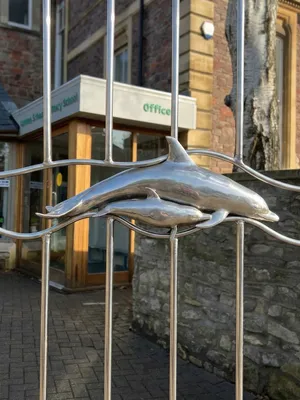 Dolphins, Cotham Gardens Primary School
