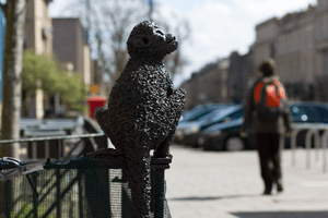 Monkey Business on Whiteladies Road: Meet Jack