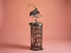 David Attenborough’s Bird of Paradise